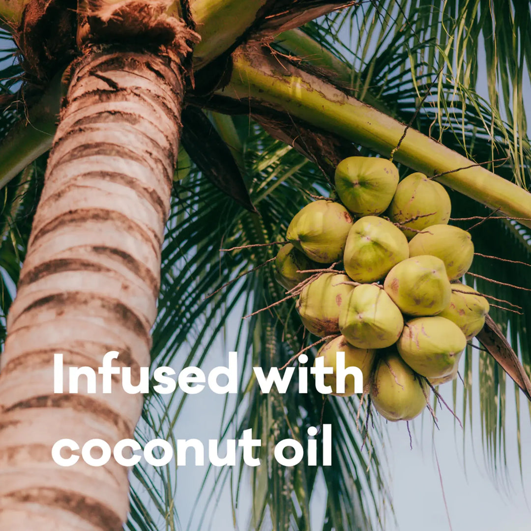 Coconuts hanging from a palm tree with text 'Infused with coconut oil'.